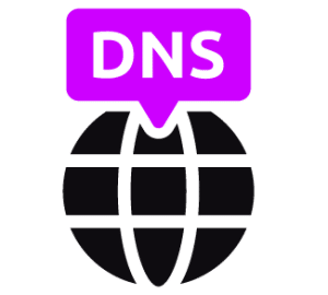 DNS management icon