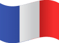 French flag representing services available in French